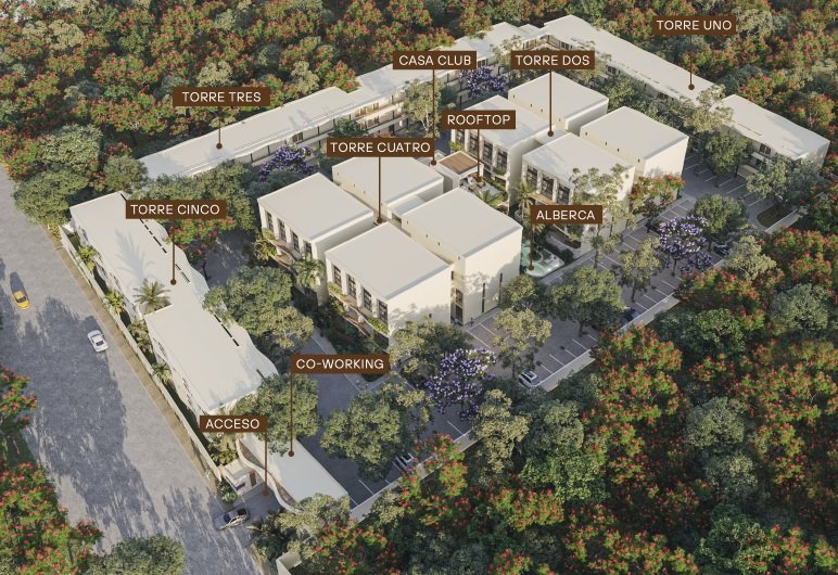 ILUSTRACIÓN DE CONJUNTO