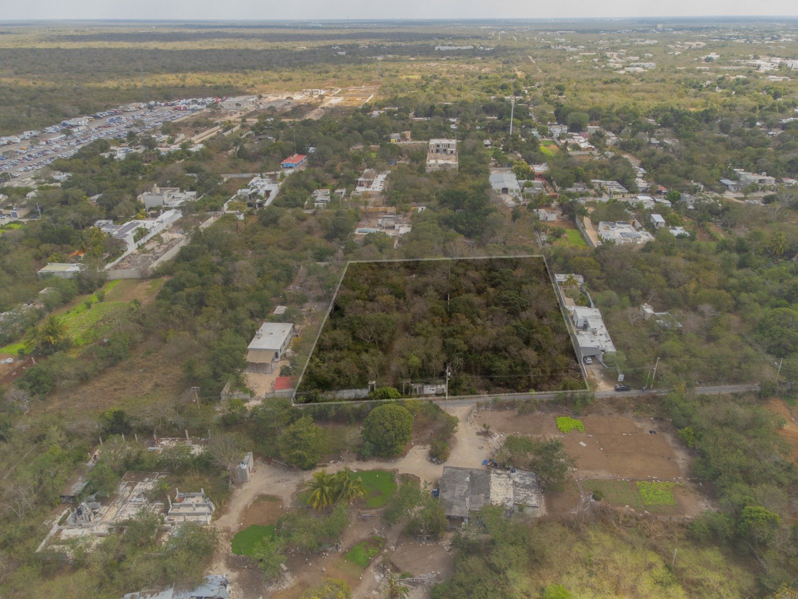 WhatsApp Image 2024-07-04 at 3.26.46 PM (1)