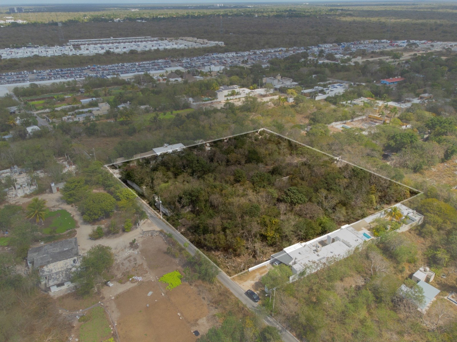 WhatsApp Image 2024-07-04 at 3.26.46 PM